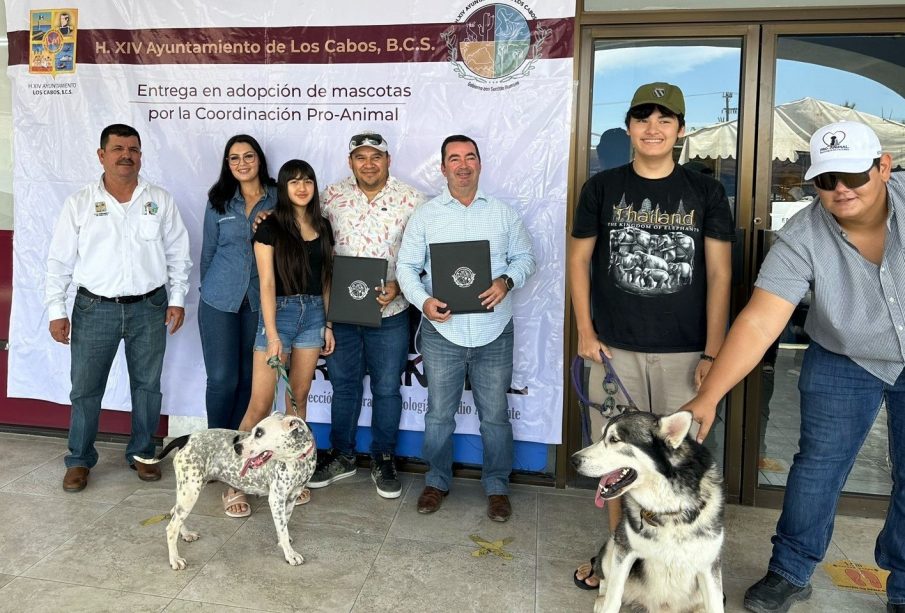 Las personas interesadas en adoptar un perro en los cabos, deben cumplir algunos requisitos.