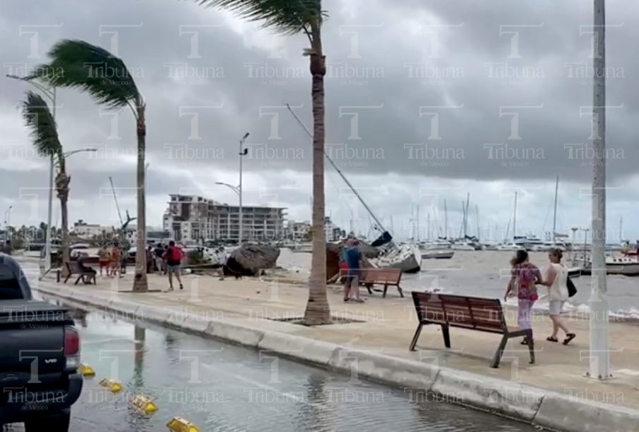 Una buena cantidad de turistas hospedados inicial,mente en Los Cabos, decidieron moverse a La PAz