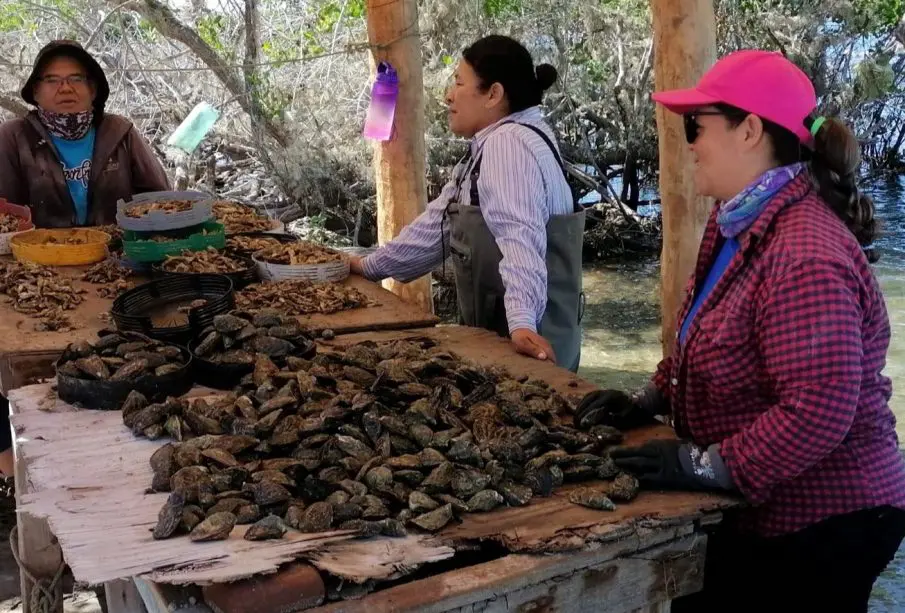 Gobierno de BCS apoya a mujeres