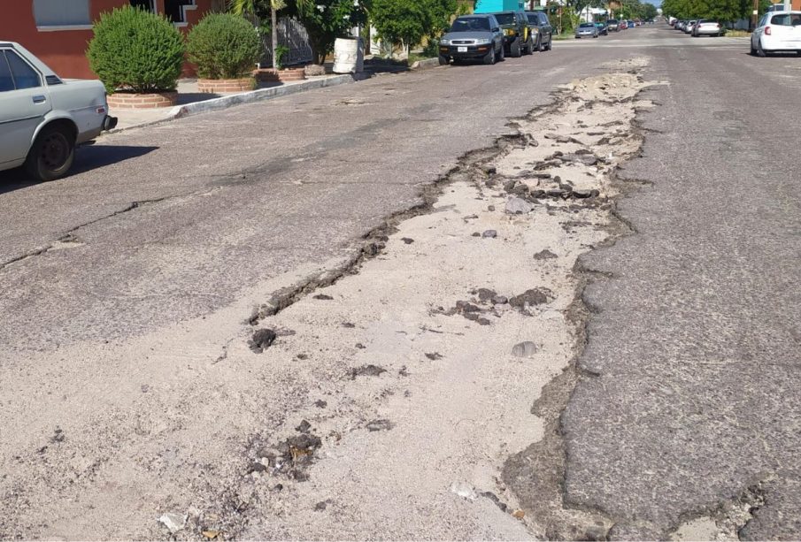 Bache en la colonia Guerrero