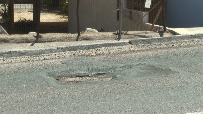 Bache en orilla de vialidad