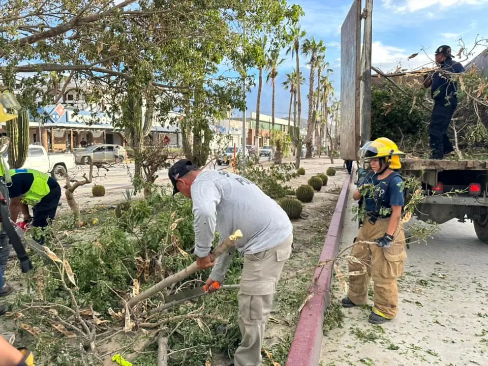 Bomberos recogiendo ramas caídas