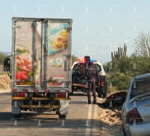 Camión que arrolló a una yegua en la colonia La Pitahaya