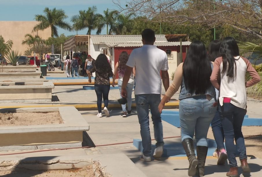 Chicos universitarios caminando por el plantel