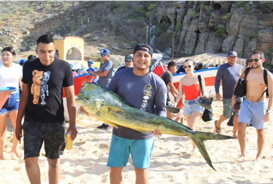 Dorado de 35 libras en el torneo de pesca de Punto Lobos