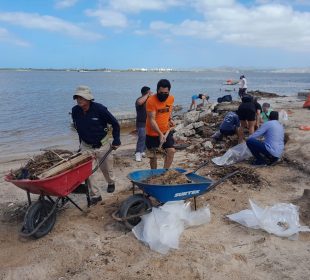 Gente recolectando basura de playas arrastrada por Norma