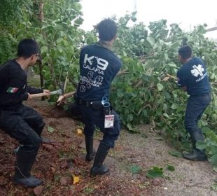 Grupo Voluntario Calafia limpiando La Paz