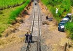 Hombre que cayo del tren en movimiento en Tepic pudo ser resactados