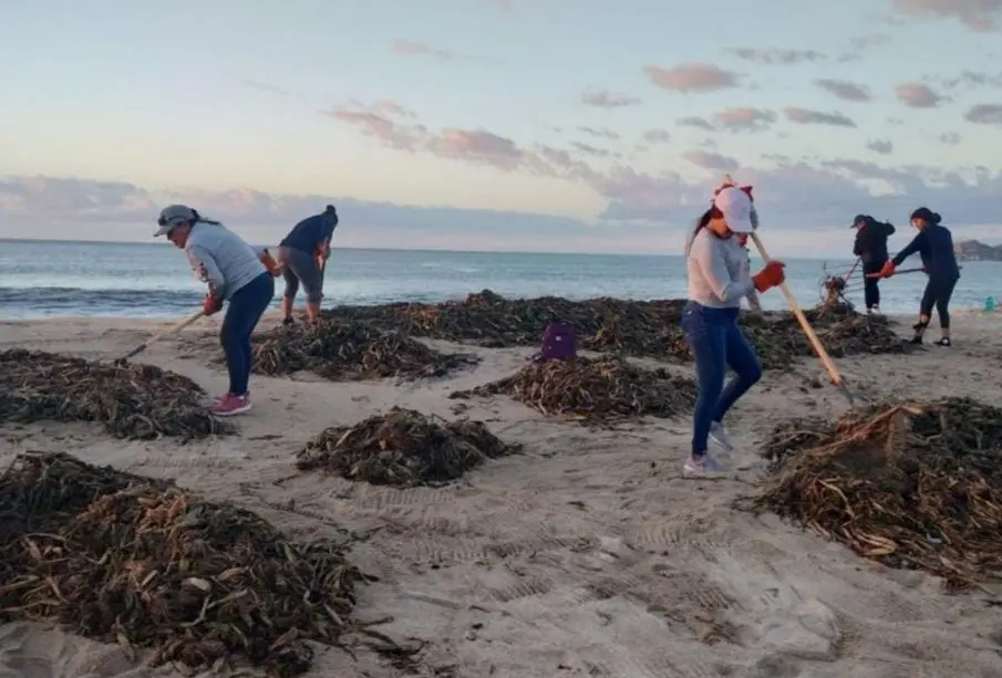 Jornada de limpieza en las playas
