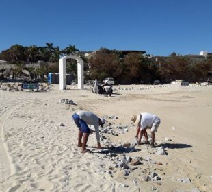 Personal de ZOFEMAT limpiando playas de Los Cabos