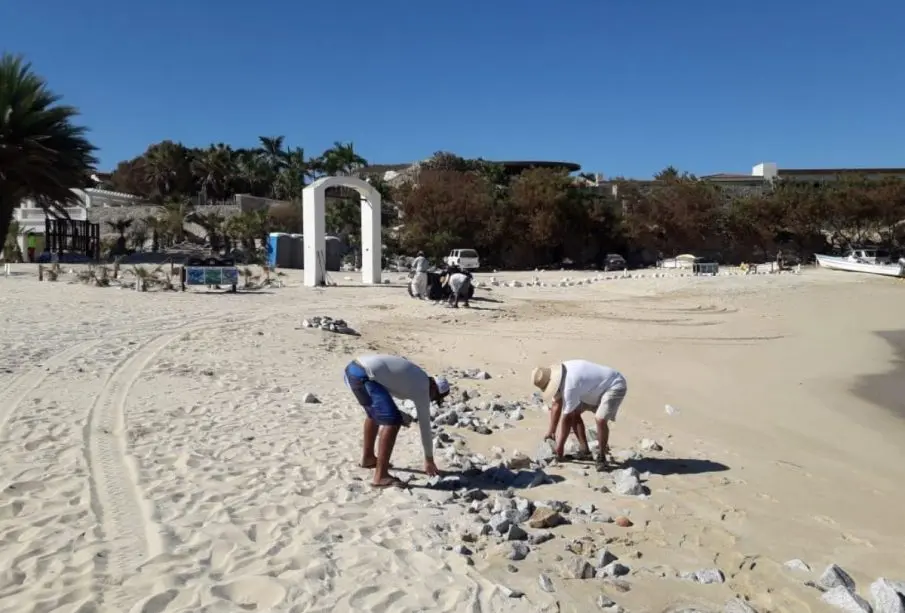 Personal de ZOFEMAT limpiando playas de Los Cabos