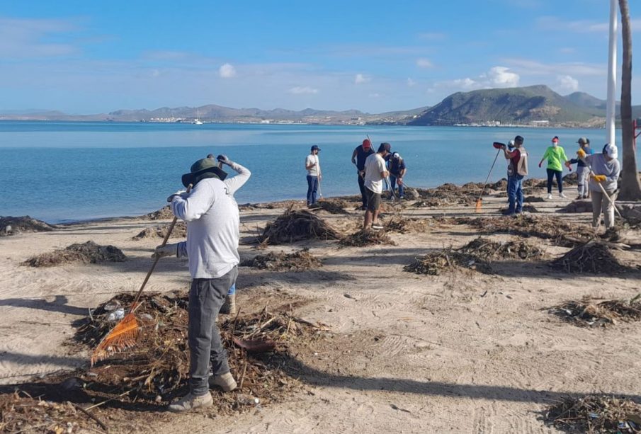 Personas limpiando el malecón de La Paz