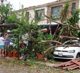 Ramas tiradas en Acapulco por huracán Otis