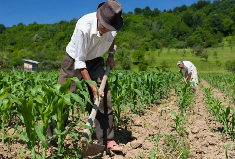 Relevo generacional en la agricultura
