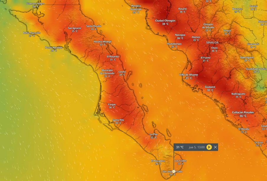 Temperatura Los Cabos 05 oct