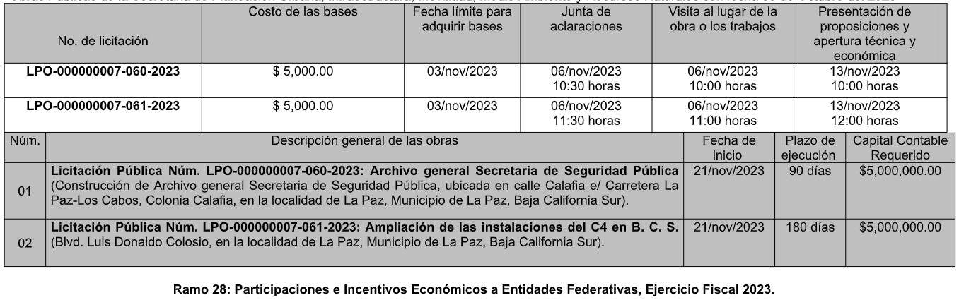 Convocatoria 10 Licitación Pública