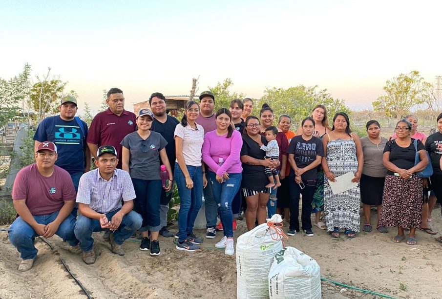 Integrantes del curso sobre huertos de traspatio