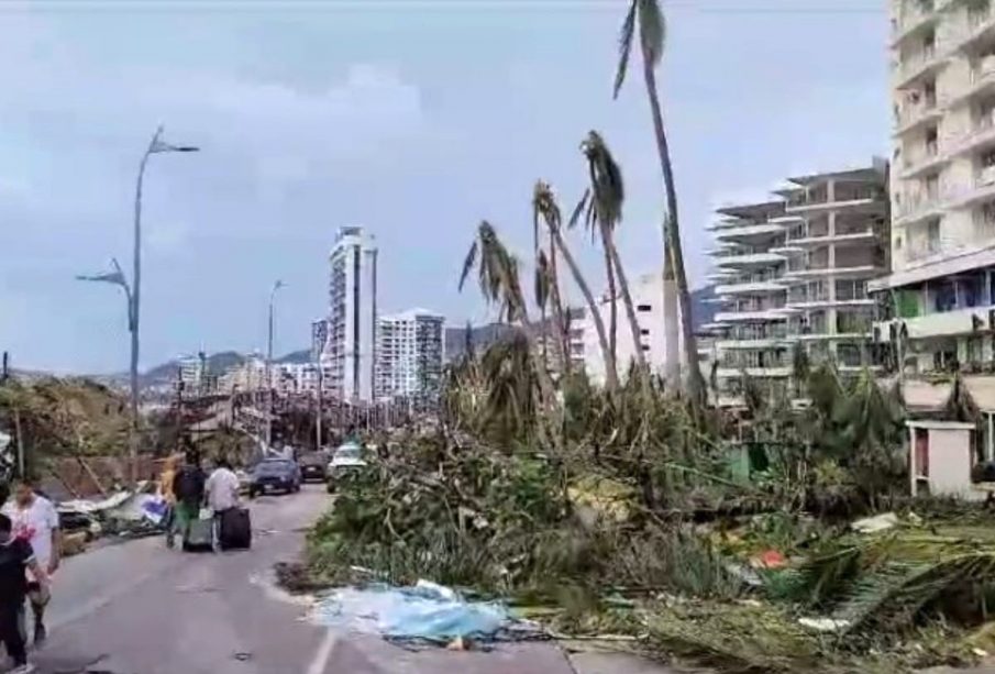 Árboles caídos, ramas en el suelo y destrucción en Acapulco