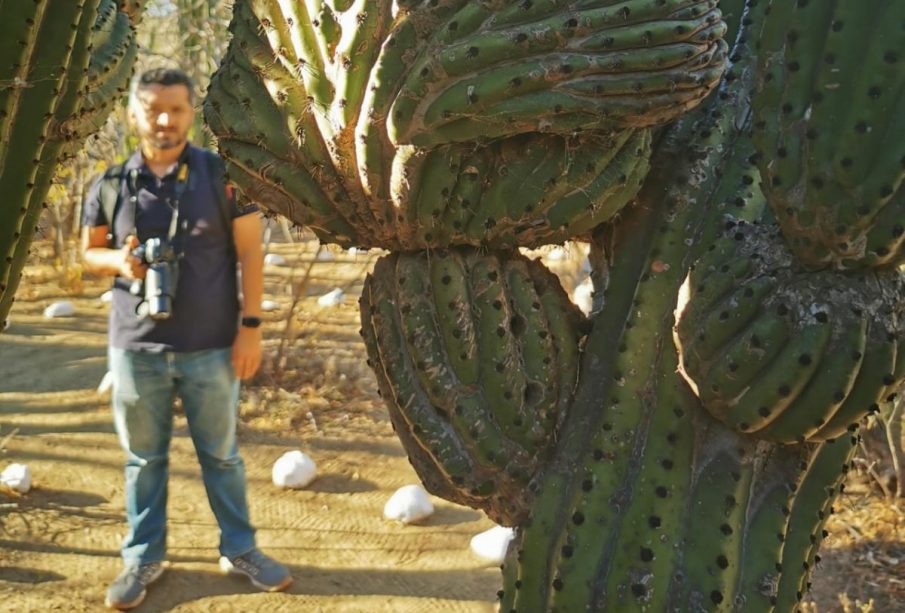 Hombre al lado de un cactus