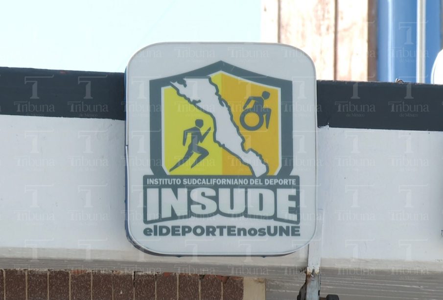 INSUDE