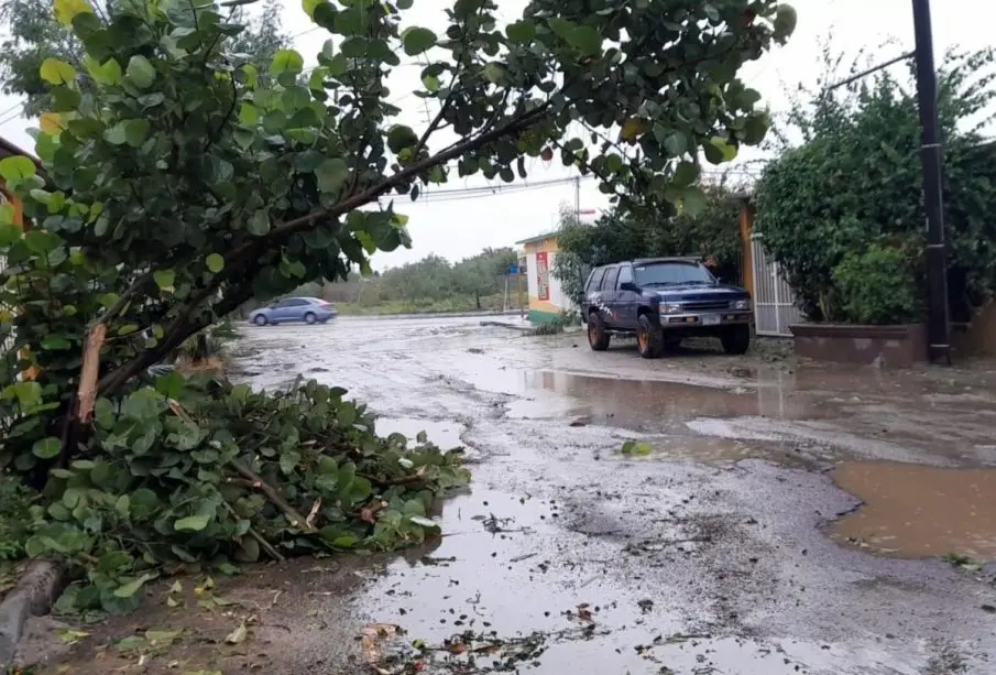 Afectaciones por el huracán Norma en La Paz