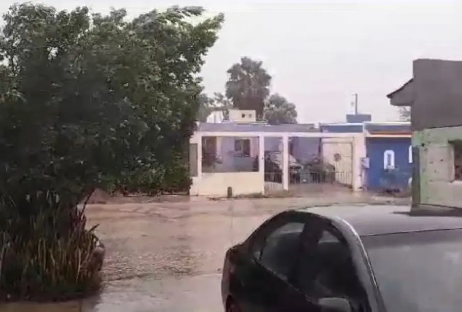 Norma deja afectaciones en La Paz.