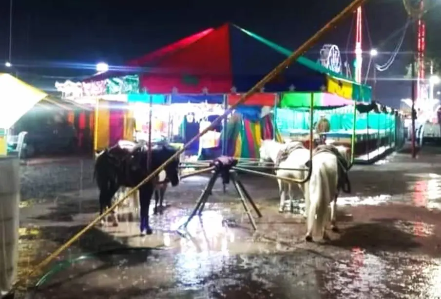 Carrusel de feria con ponys