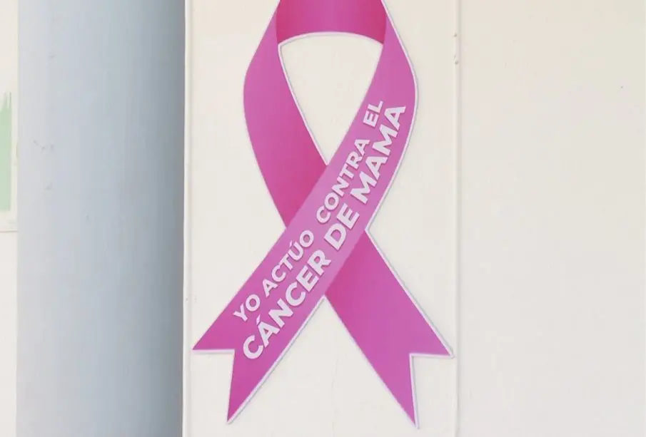 Moño conmemorativo del mes de prevención del cáncer de mama