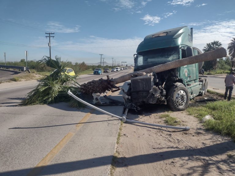 Camión con palemera desplomada encima