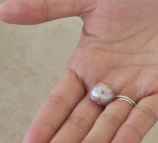 El peor enemigo del cultivo de perlas son los huracanes