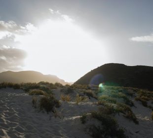 Desierto en La Paz, Baja California Sur