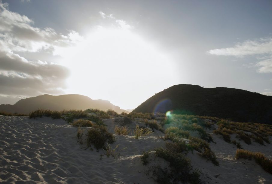 Desierto en La Paz, Baja California Sur