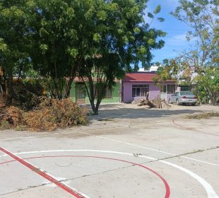 el parque parece selva en Indeco