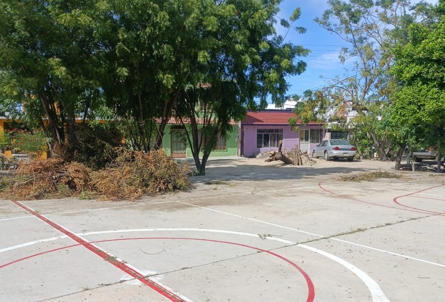 el parque parece selva en Indeco