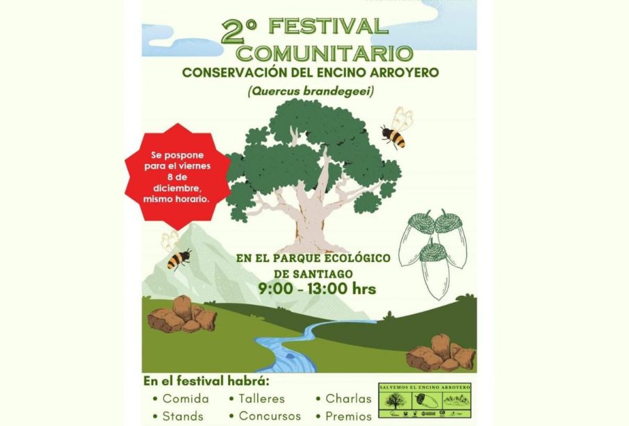 Festival Comunitario Salvemos el Encino Arroyero