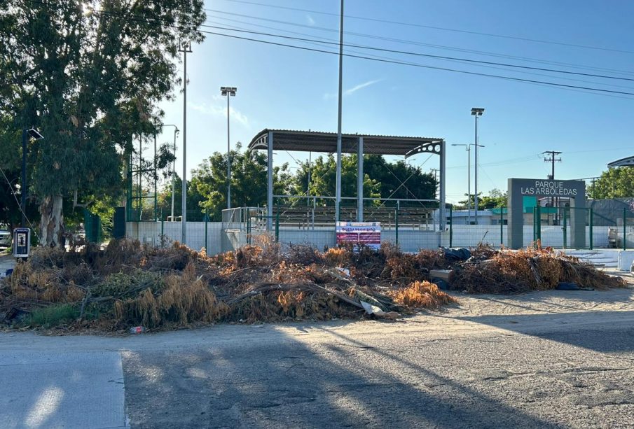 Ingreso al parque arboledas lleno de ramas y basura