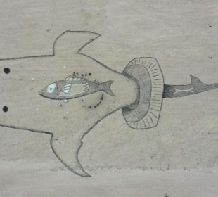 Pintan mural de tiburón ballena para concientizar a la ciudadanía