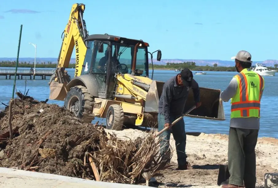 Personal levantando basura del Malecón