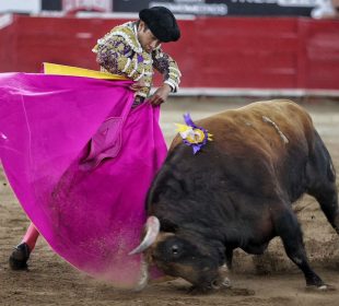 Ratificó la Corte suspensión de corridas de toros en la plaza Nuevo Progreso