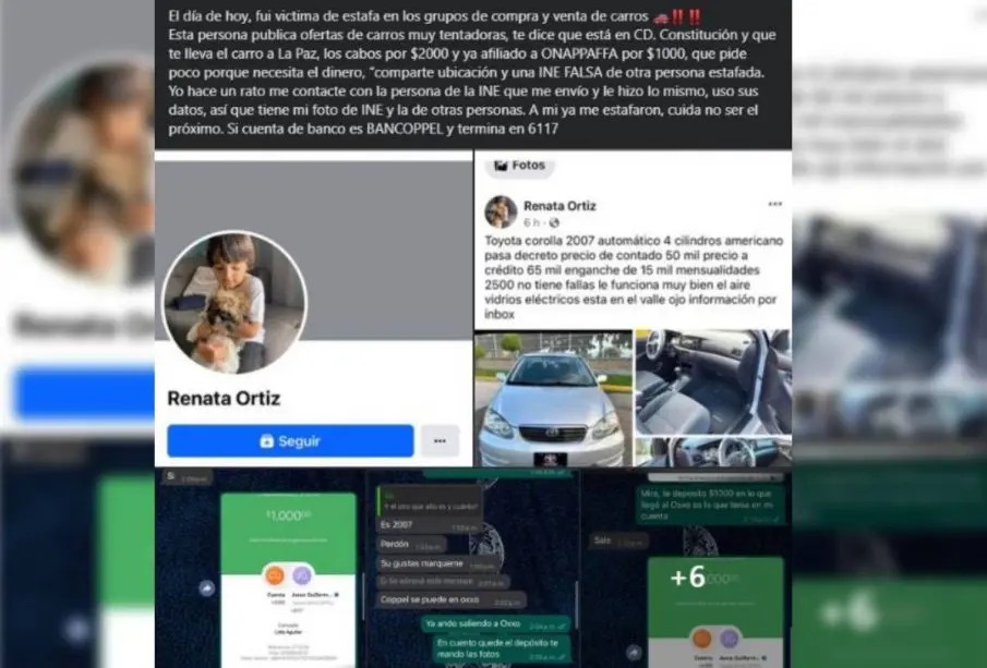 Reporte de estafa cibernetica