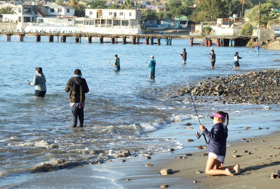 Torneo de pesca Todos Santos