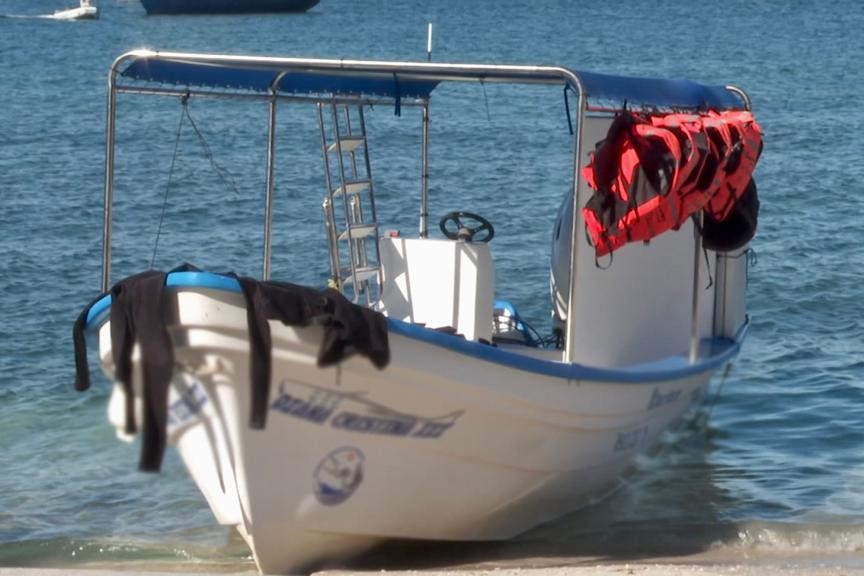 Turoperadores listos para la observación de tiburón-ballena