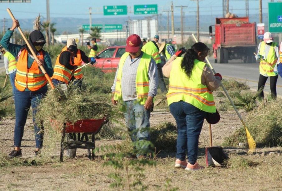 Trabajadores limpiando la carretera Transpeninsular