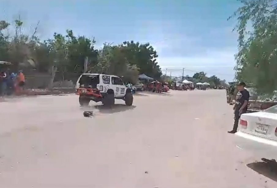 Vehículo atropellando a perro en el Centenario