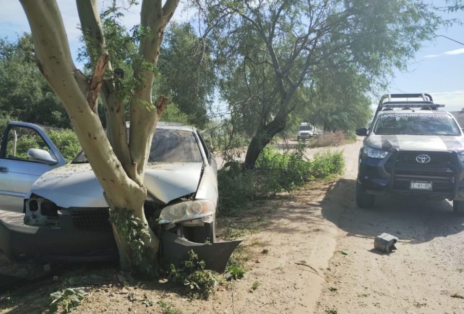 Vehículo impactado contra árbol en la colonia Santa Fe