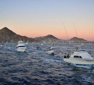 Yates en marina de Cabo San Lucas