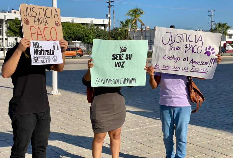 Manifestación contra el maltrato animal