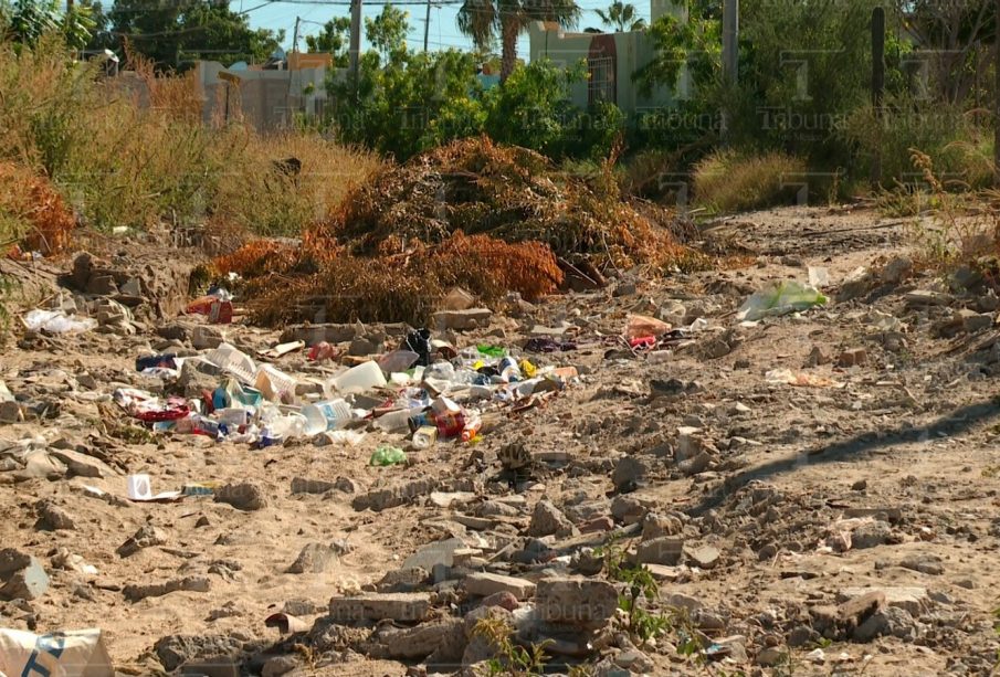 Con basura rellenas zanjas