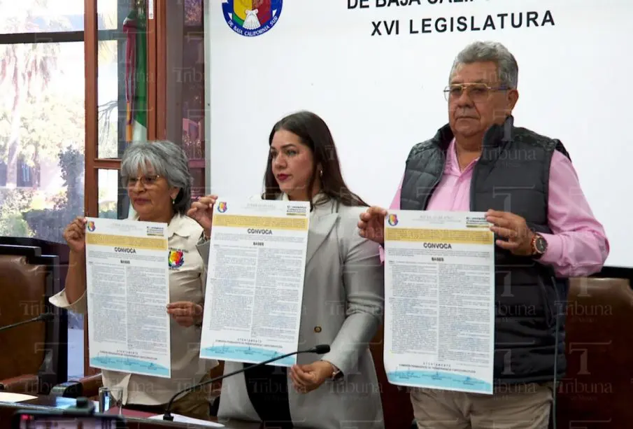 Convocatoria para el nuevo comisionado del ITAI BCS