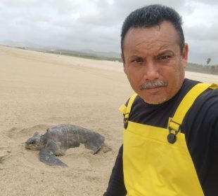 Gabriel Olvera Guevara y tortuga marina